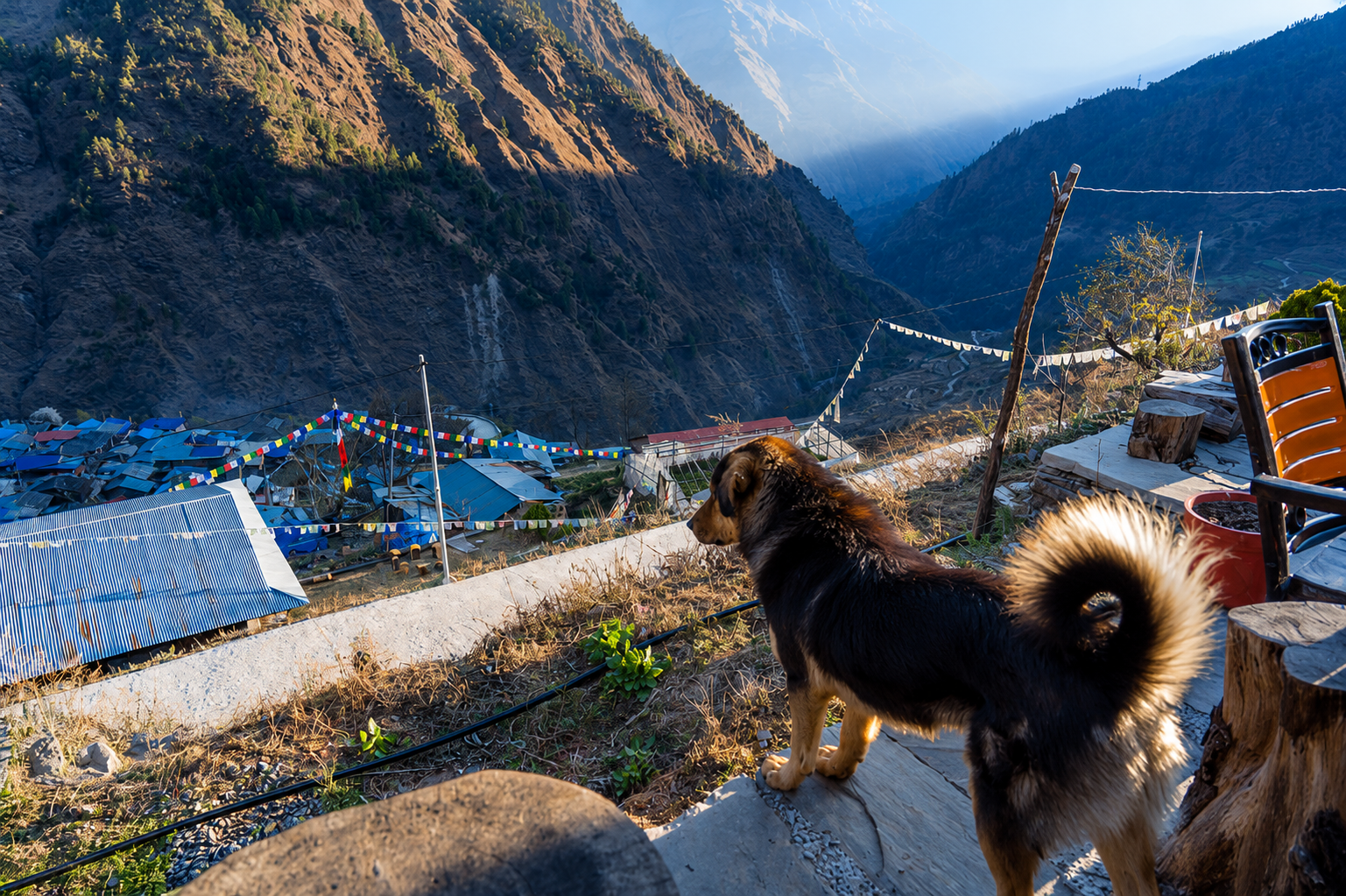 Trek from Lama Hotel to Langtang Village